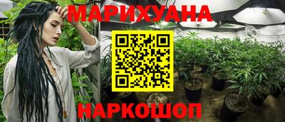 молекула духа Можайск