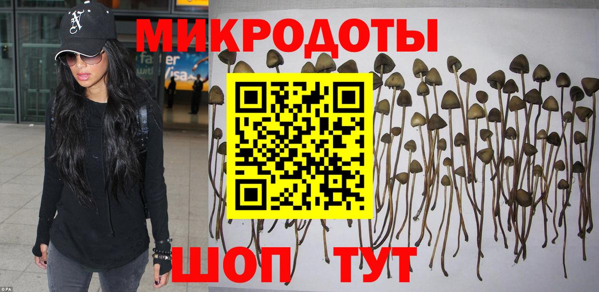 Псилоцибиновые грибы Cubensis Урай
